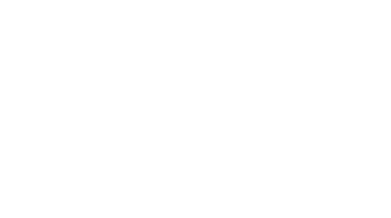 IconixInternational_Logo_Wht